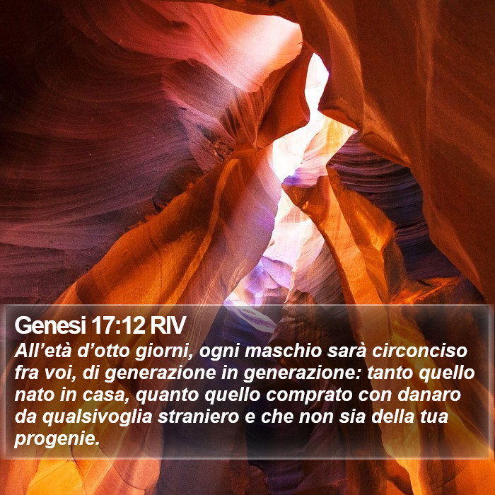 Genesi 17:12 RIV Bible Study