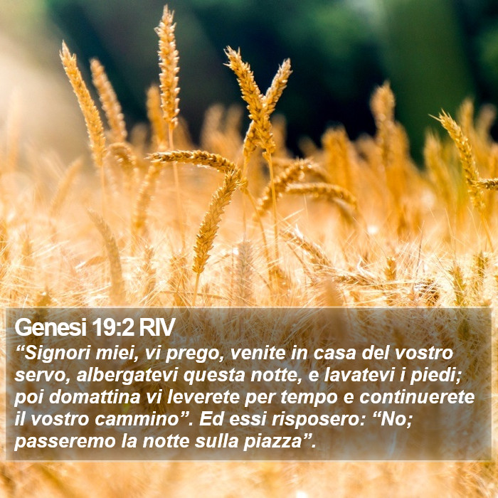 Genesi 19:2 RIV Bible Study