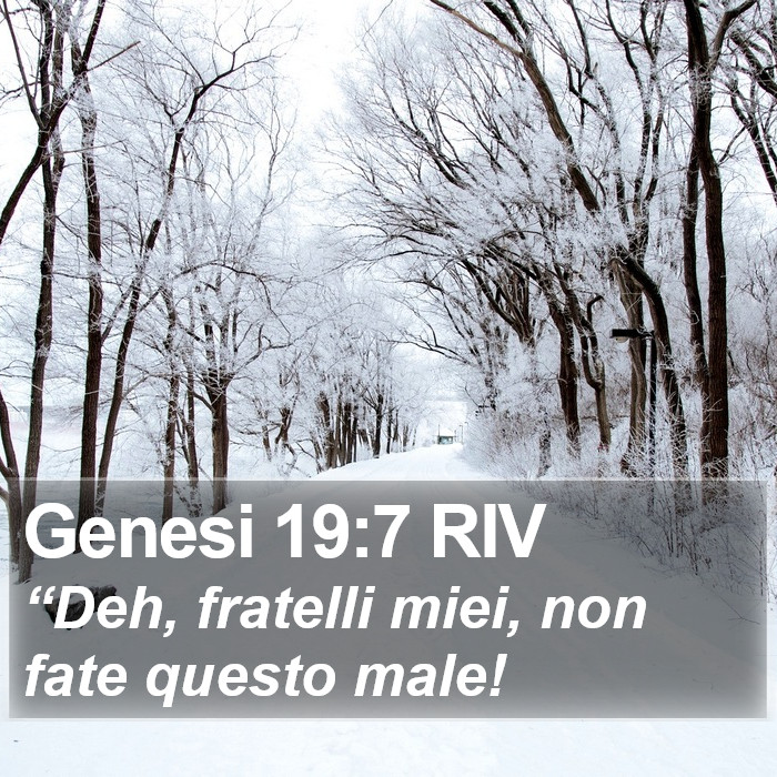 Genesi 19:7 RIV Bible Study