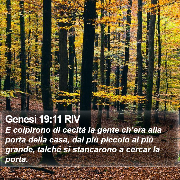 Genesi 19:11 RIV Bible Study