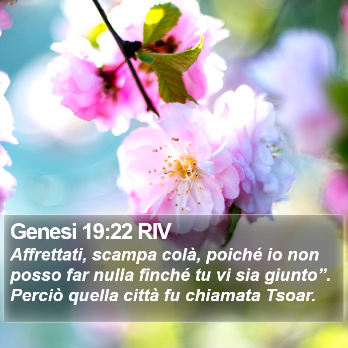 Genesi 19:22 RIV Bible Study