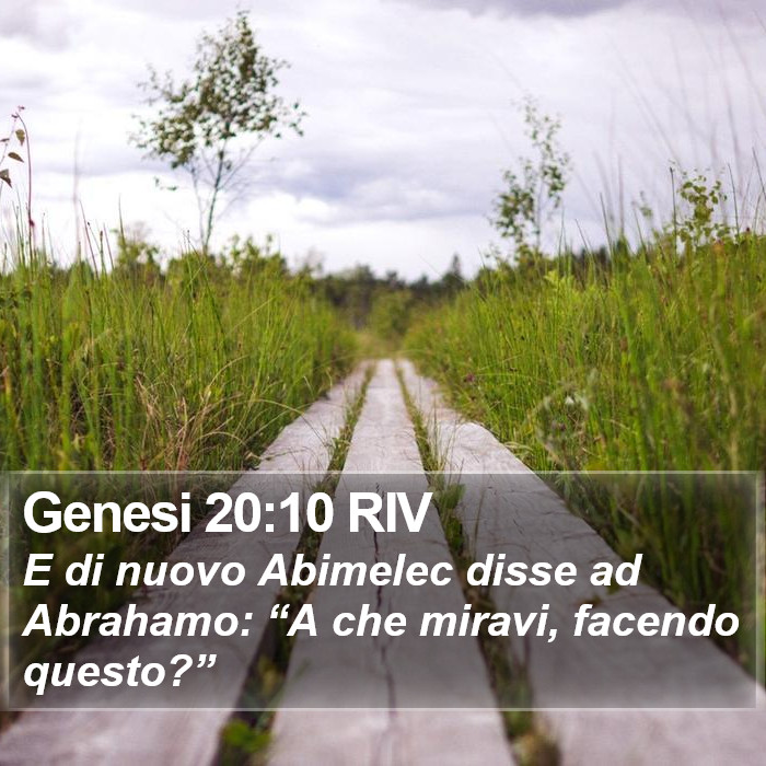 Genesi 20:10 RIV Bible Study