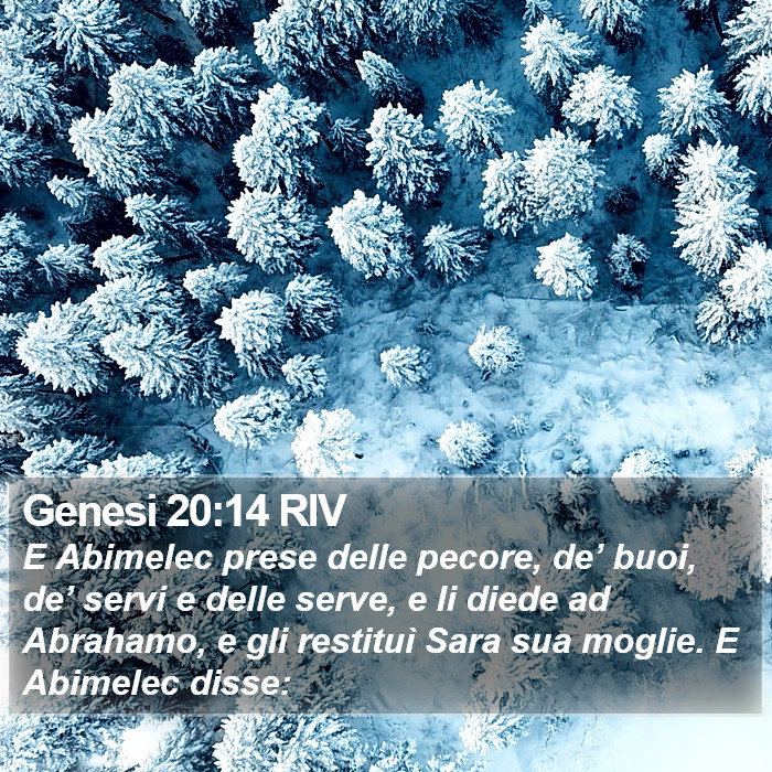 Genesi 20:14 RIV Bible Study