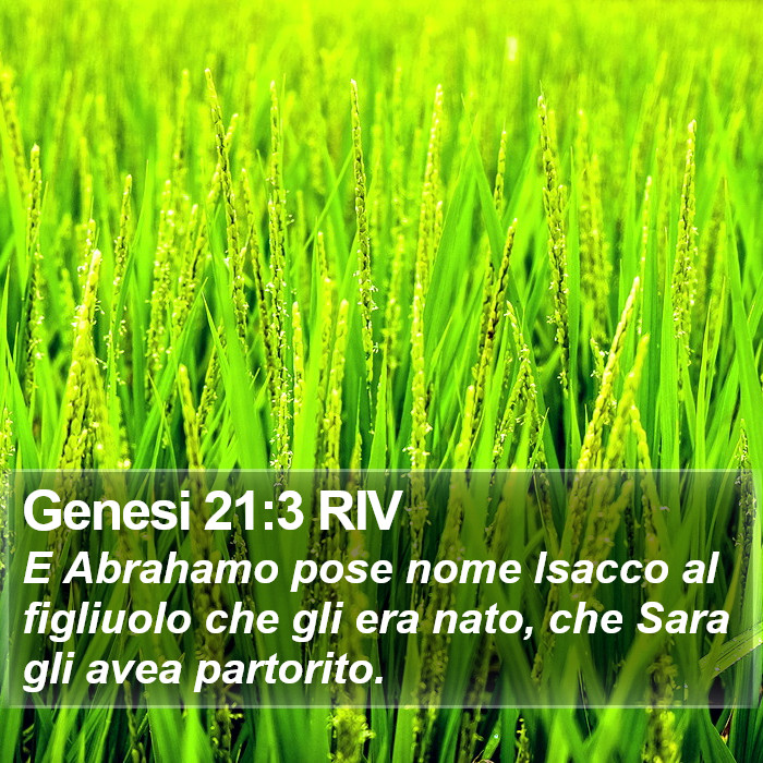 Genesi 21:3 RIV Bible Study