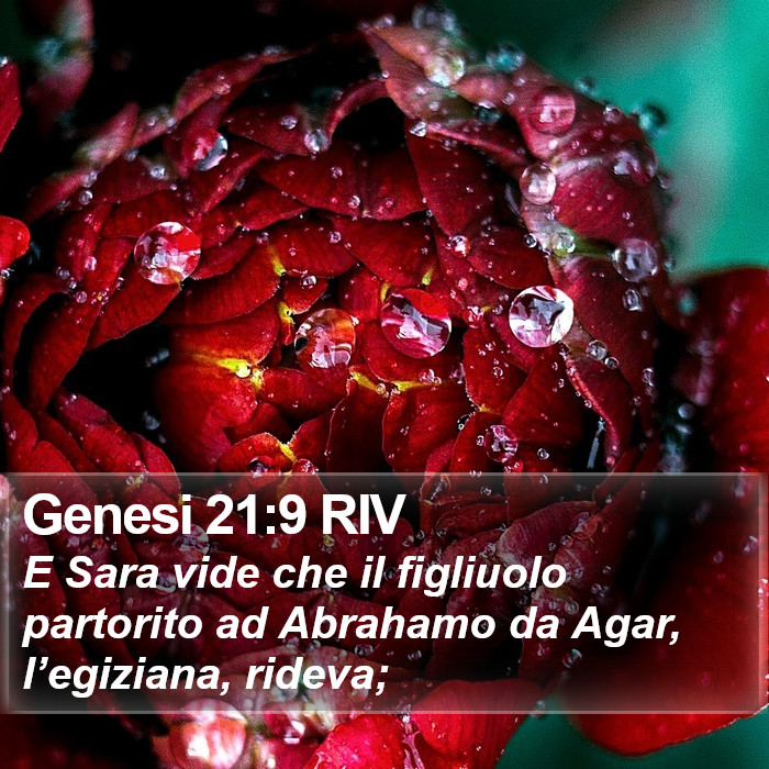 Genesi 21:9 RIV Bible Study