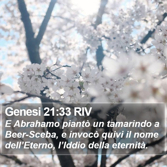 Genesi 21:33 RIV Bible Study