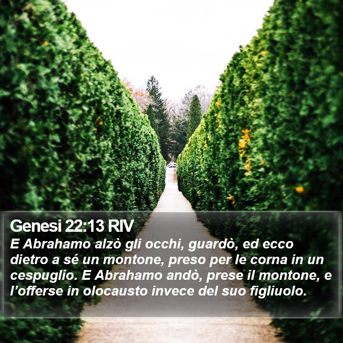 Genesi 22:13 RIV Bible Study