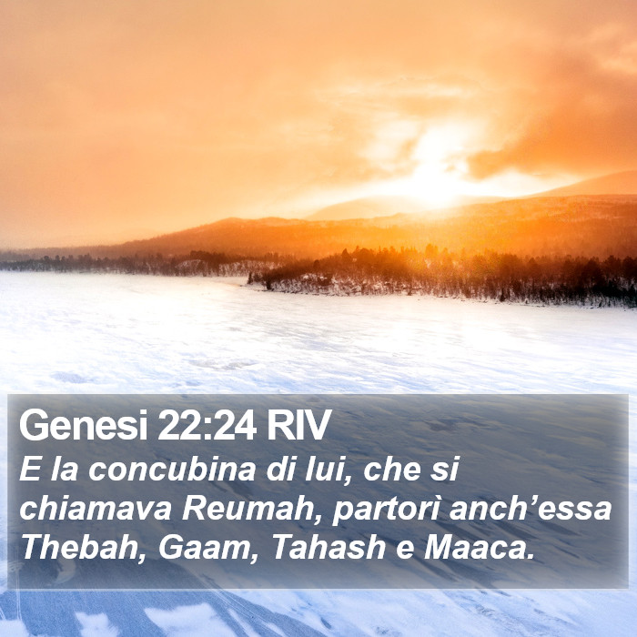 Genesi 22:24 RIV Bible Study