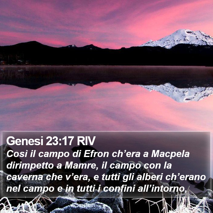 Genesi 23:17 RIV Bible Study