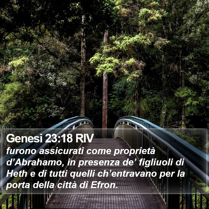 Genesi 23:18 RIV Bible Study