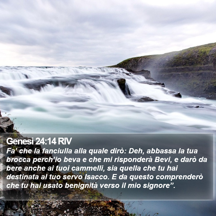 Genesi 24:14 RIV Bible Study