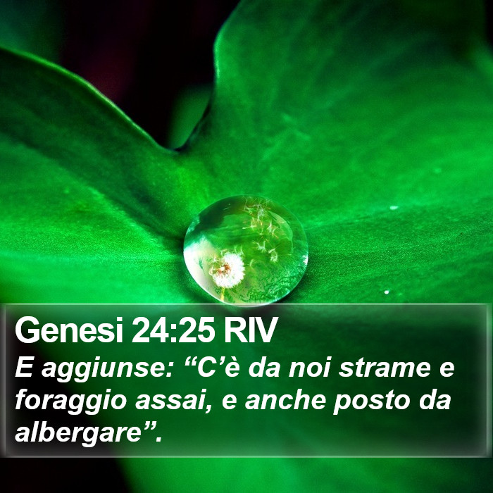 Genesi 24:25 RIV Bible Study