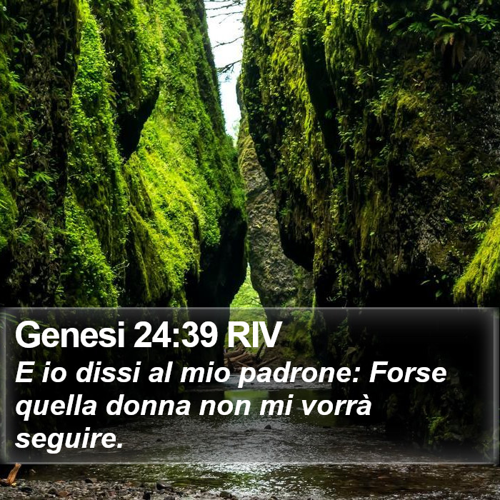 Genesi 24:39 RIV Bible Study