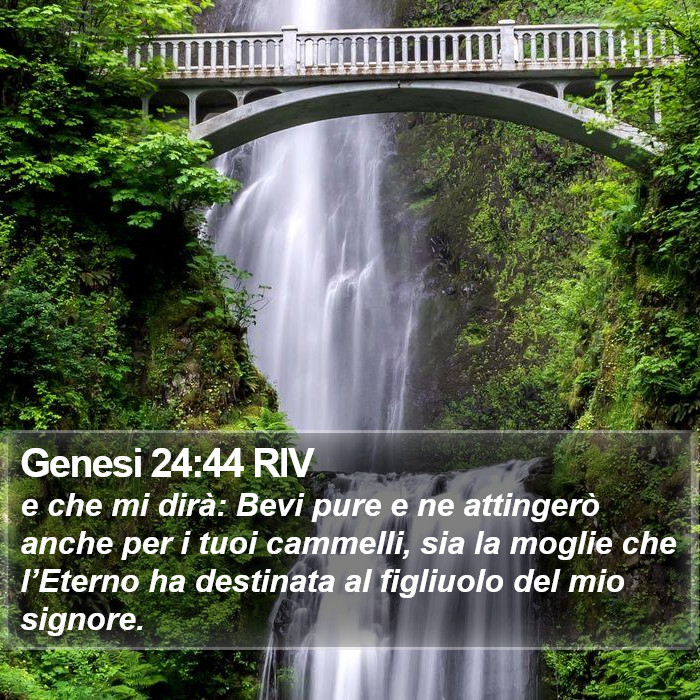Genesi 24:44 RIV Bible Study