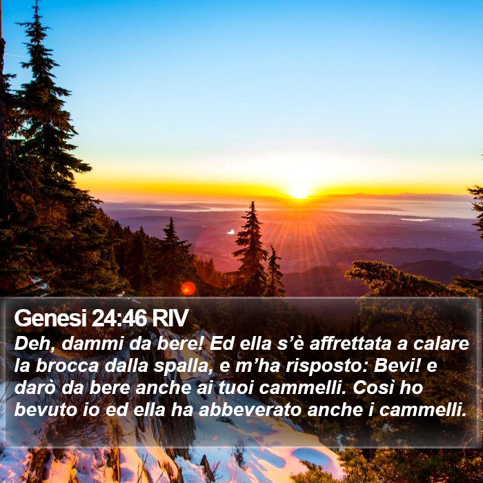 Genesi 24:46 RIV Bible Study