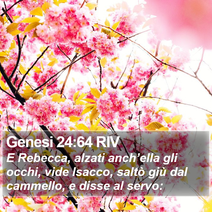 Genesi 24:64 RIV Bible Study