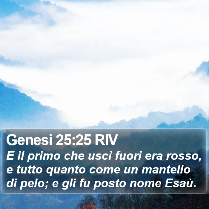 Genesi 25:25 RIV Bible Study