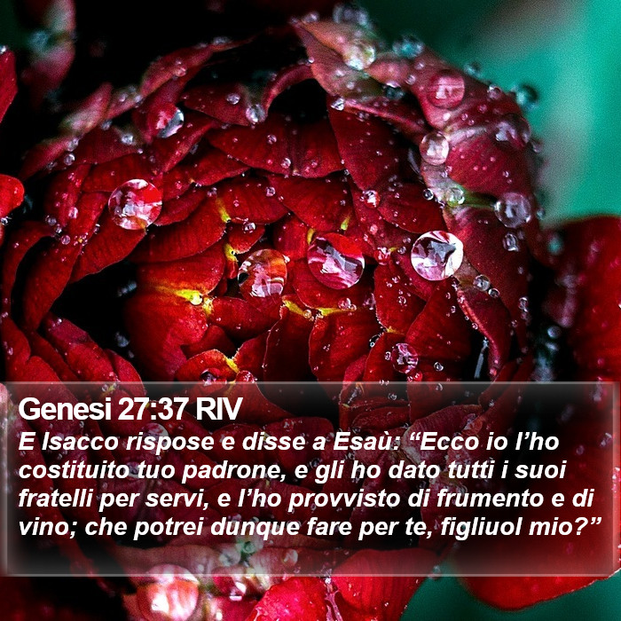 Genesi 27:37 RIV Bible Study