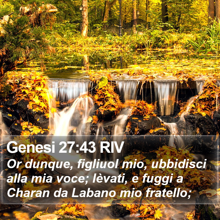 Genesi 27:43 RIV Bible Study
