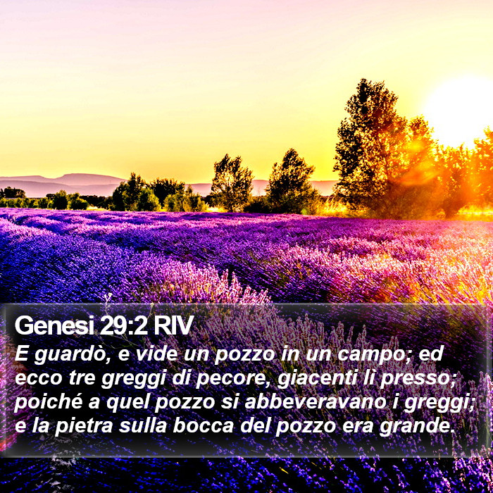 Genesi 29:2 RIV Bible Study