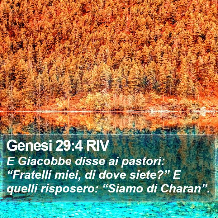 Genesi 29:4 RIV Bible Study