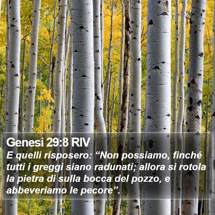 Genesi 29:8 RIV Bible Study