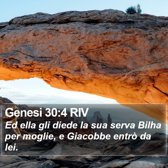 Genesi 30:4 RIV Bible Study