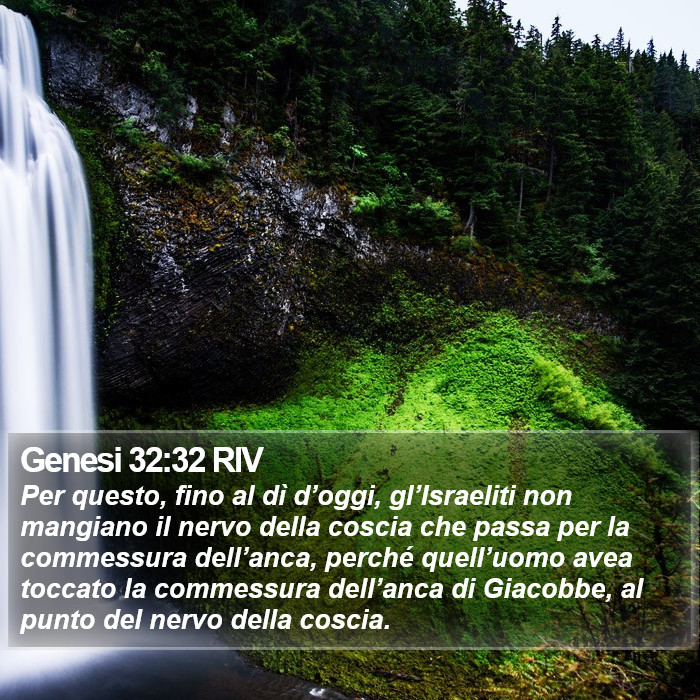 Genesi 32:32 RIV Bible Study