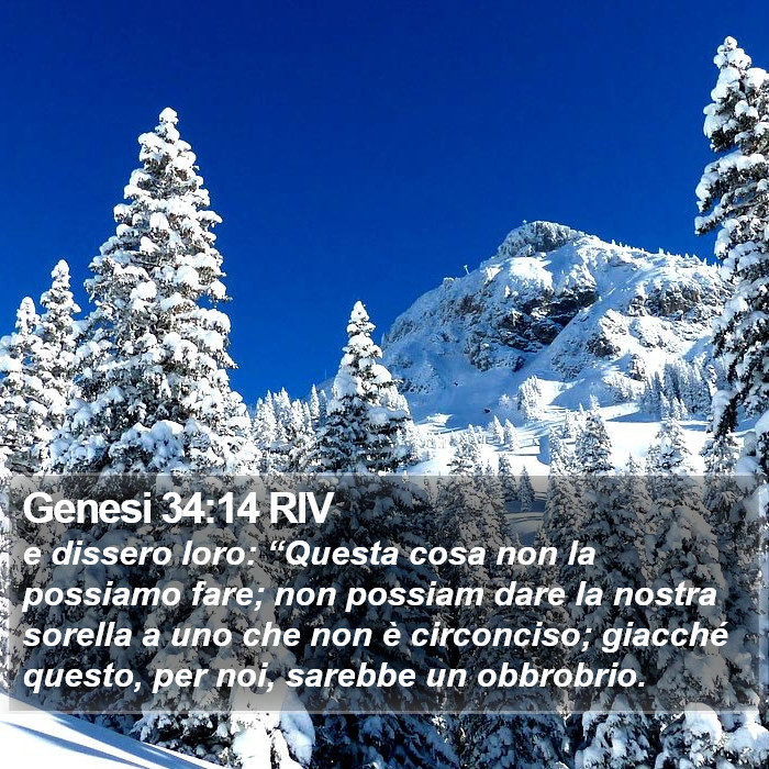 Genesi 34:14 RIV Bible Study