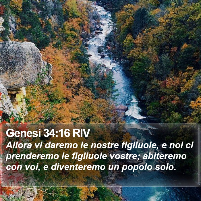Genesi 34:16 RIV Bible Study