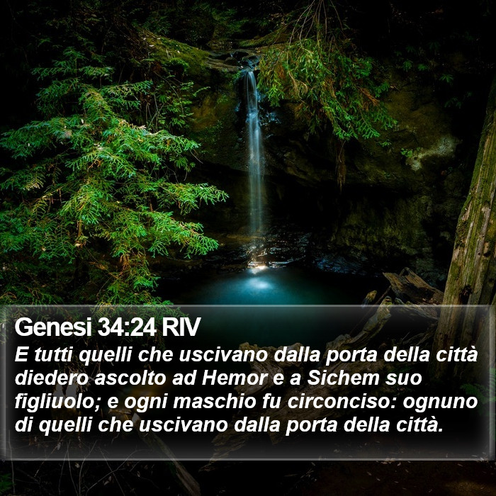 Genesi 34:24 RIV Bible Study