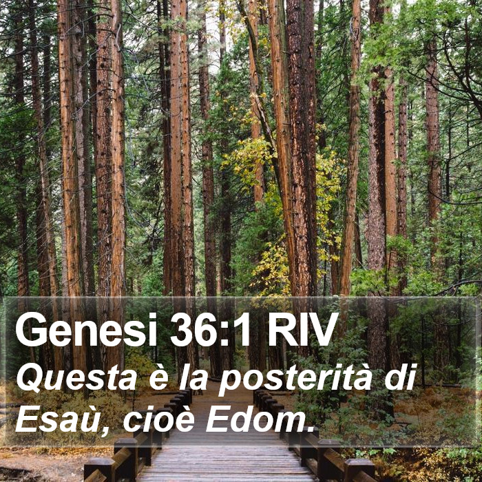 Genesi 36:1 RIV Bible Study