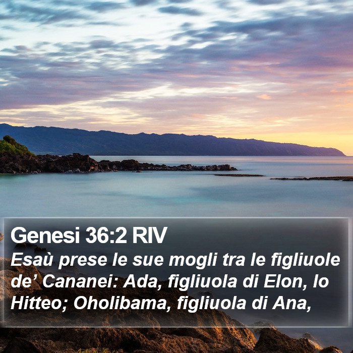 Genesi 36:2 RIV Bible Study