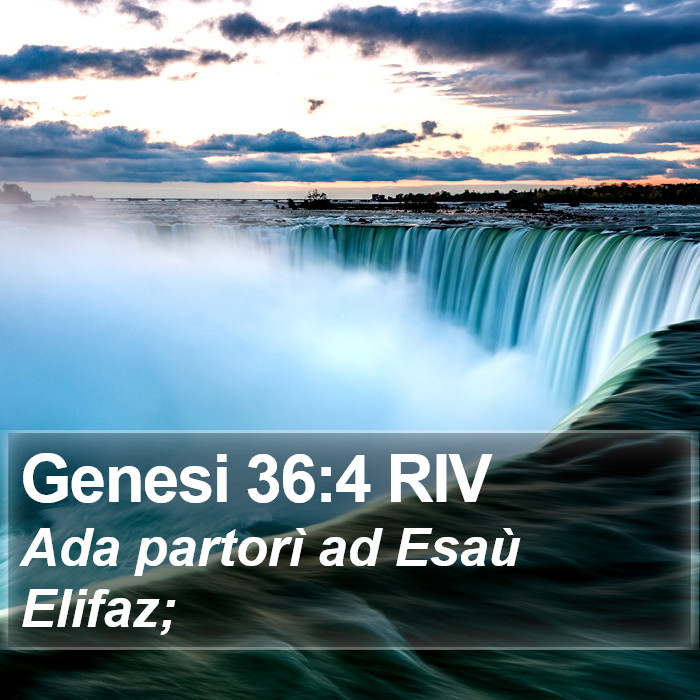 Genesi 36:4 RIV Bible Study