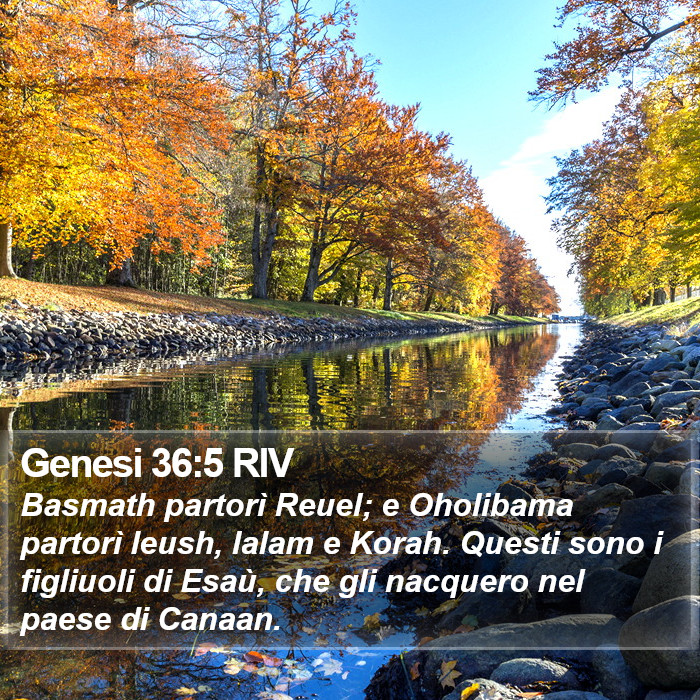 Genesi 36:5 RIV Bible Study