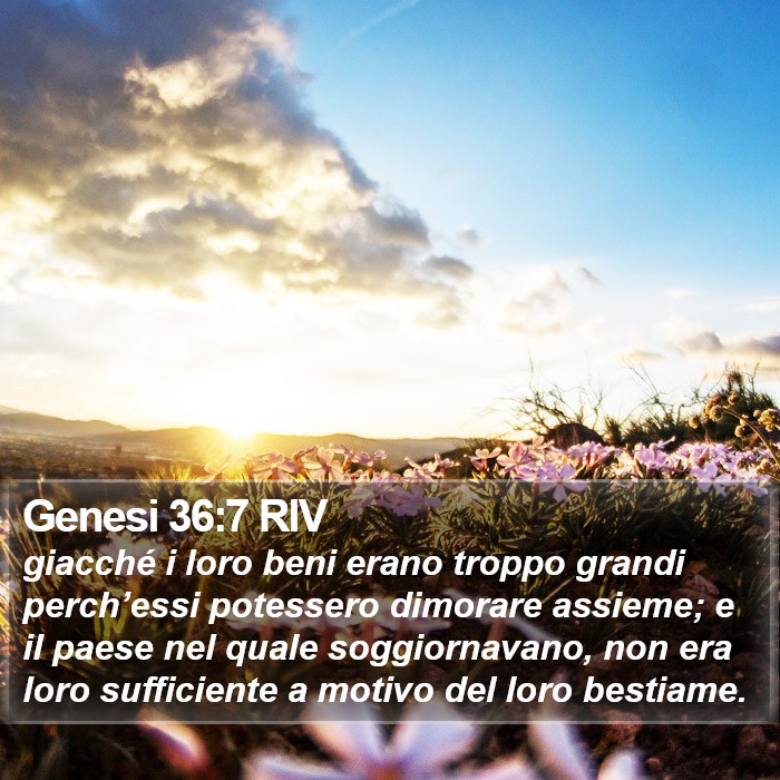 Genesi 36:7 RIV Bible Study