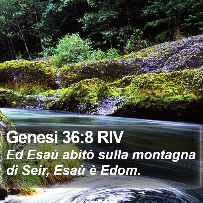 Genesi 36:8 RIV Bible Study