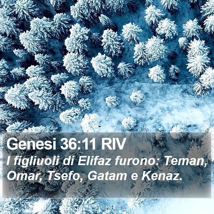 Genesi 36:11 RIV Bible Study