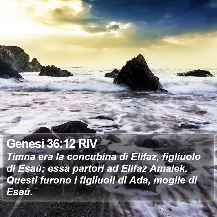 Genesi 36:12 RIV Bible Study