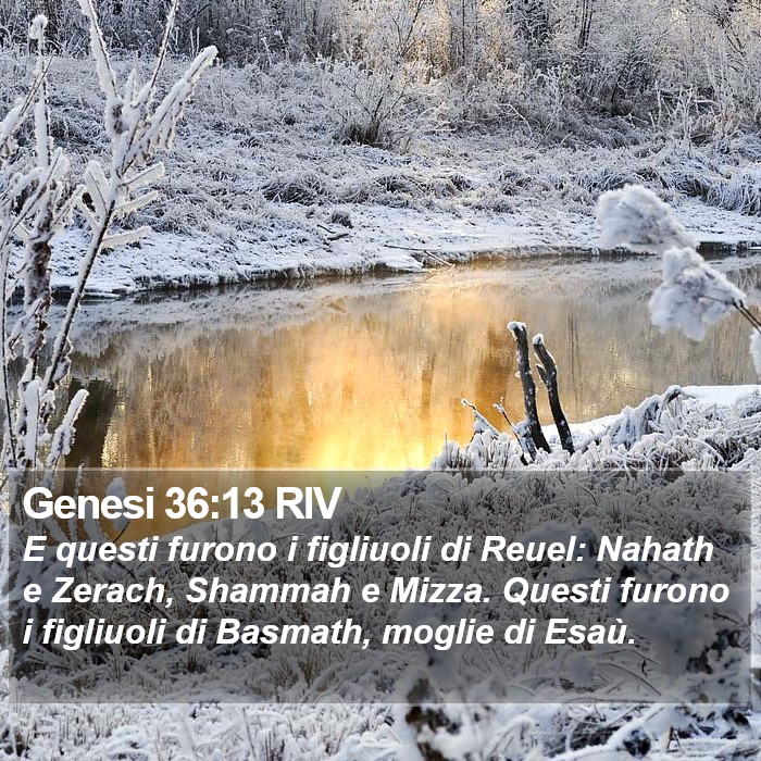 Genesi 36:13 RIV Bible Study