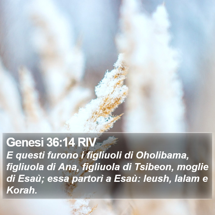 Genesi 36:14 RIV Bible Study