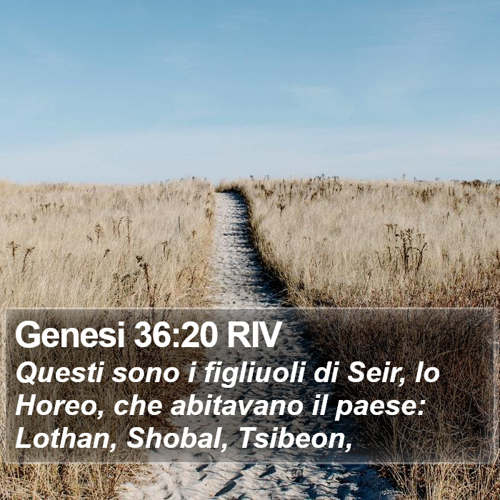 Genesi 36:20 RIV Bible Study