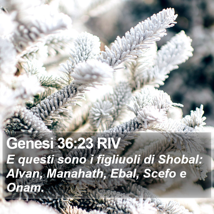 Genesi 36:23 RIV Bible Study