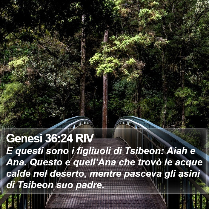 Genesi 36:24 RIV Bible Study