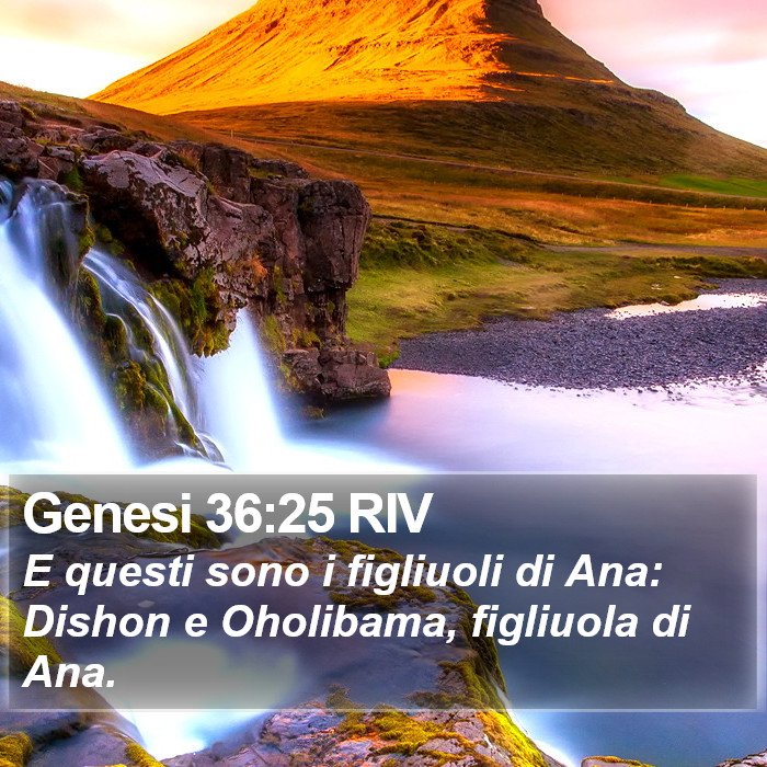 Genesi 36:25 RIV Bible Study