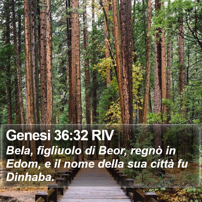 Genesi 36:32 RIV Bible Study