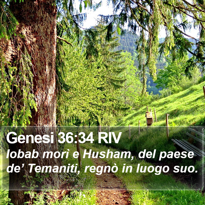 Genesi 36:34 RIV Bible Study