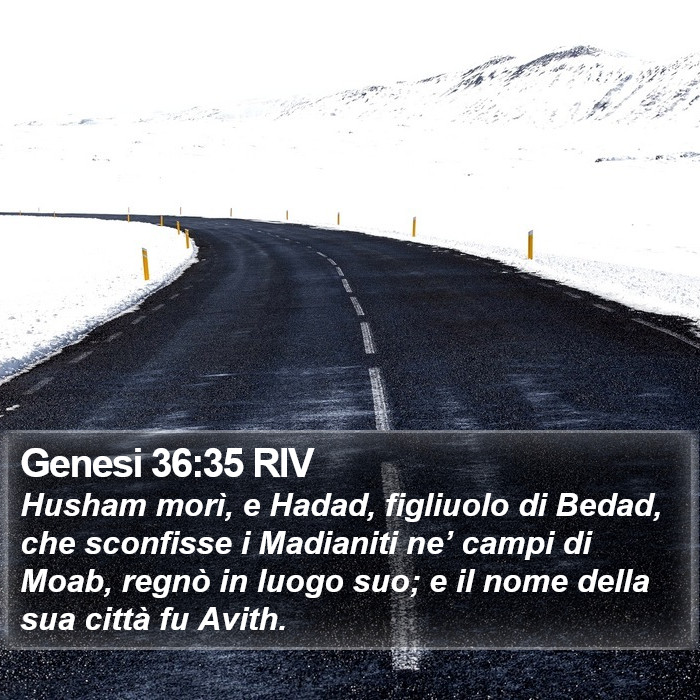 Genesi 36:35 RIV Bible Study