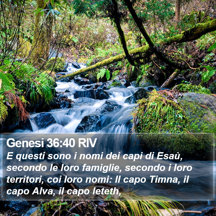 Genesi 36:40 RIV Bible Study