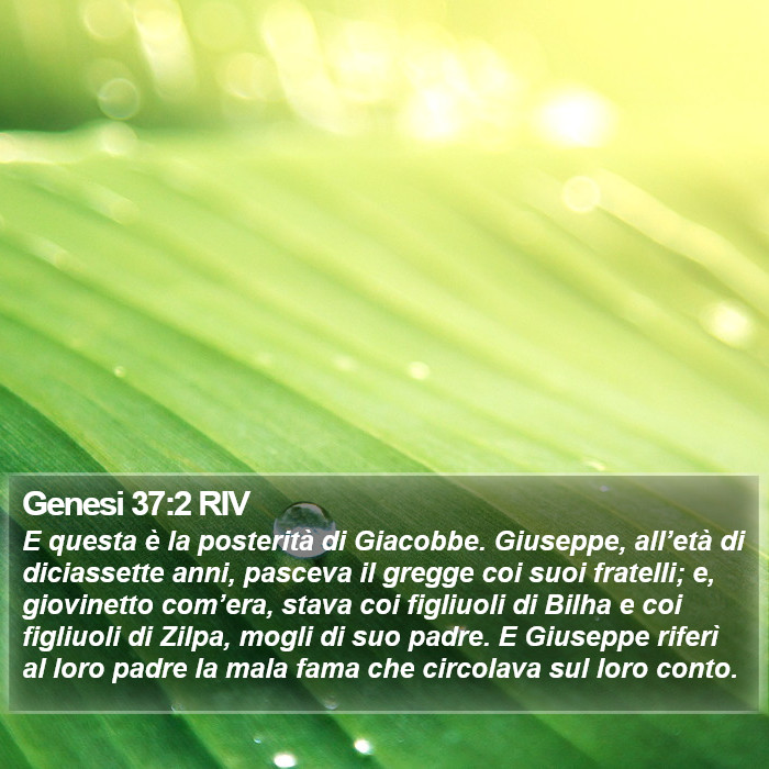 Genesi 37:2 RIV Bible Study